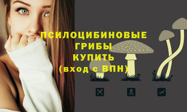 ГАЛЛЮЦИНОГЕННЫЕ ГРИБЫ Верхний Тагил