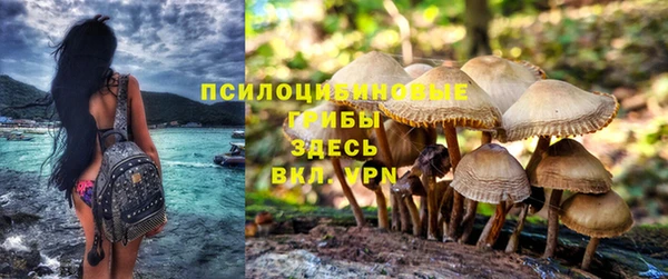 jwh Волоколамск