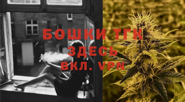 индика Волосово
