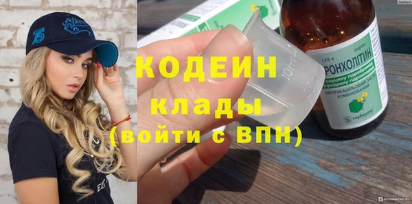 индика Волосово