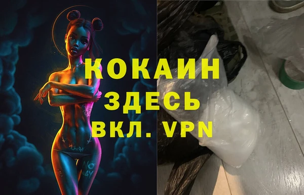 сатива Володарск