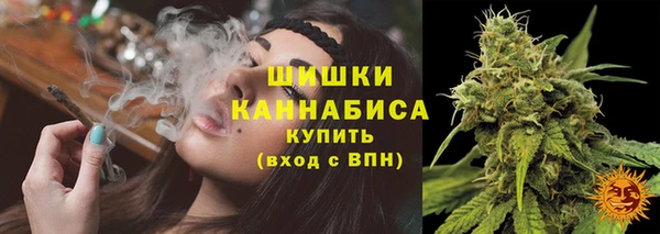 индика Волосово