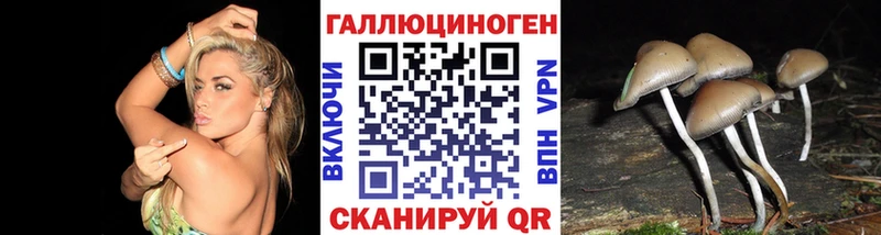 мориарти телеграм  Каменск-Шахтинский  Галлюциногенные грибы мицелий  как найти наркотики 